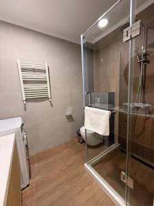 a bathroom with a glass shower and a toilet at New Gudauri Atrium in Gudauri