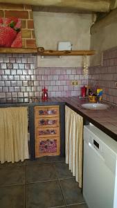Kuchyň nebo kuchyňský kout v ubytování Apartamentos La Borda Castillon