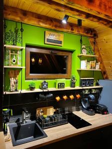 a kitchen with a sink and a green wall at Ataraksija in Mijakovići