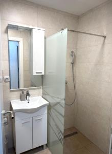 a bathroom with a shower and a sink and a mirror at Apartman 307 in Lukavica