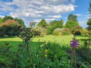 a garden with a field of grass and flowers at Crane Song Cottage-Solar Power in Himeville