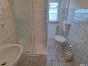 a bathroom with a shower sink and a toilet at Pension Haus Pentacon in Kurort Altenberg +7 photos