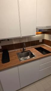 a kitchen counter with a sink and white cabinets at La Casa di Draf Appartamento Humanitas IEO Forum in Rozzano +18 photos
