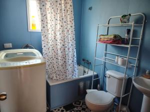 a bathroom with a toilet and a sink and a shower at Cabaña puqueldon-lemuy chiloe in Puqueldón