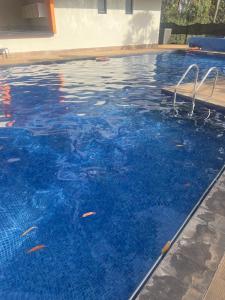 a swimming pool with blue water in a building at Upendo Apartment 2 Bedroom in Tilisi in Gatimu