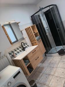 a bathroom with a sink and a shower at L'escapade d'Henry Dunant in Épernay
