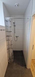 a bathroom with a shower with a glass door at Privatpension Dreger in Alzey