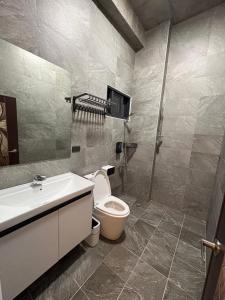 a bathroom with a toilet and a sink at 陌野輕旅民宿 in Xiulin