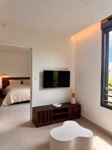 a bedroom with a bed and a television on a wall at Ambre du lagon in Saint-Pierre