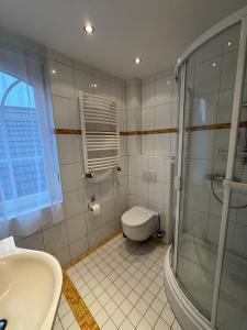 a bathroom with a shower and a toilet and a sink at Cliner Blick in Wittmund