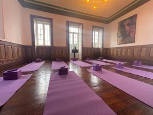a room with purple yoga mats on the floor at Solar Alegria Lodge in Oliveira de Frades