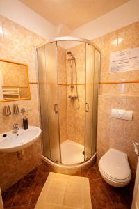 a bathroom with a shower and a toilet and a sink at REVIS Tachov in Tachov +7 photos