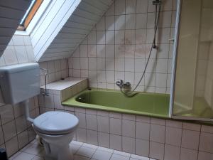 a bathroom with a toilet and a green bath tub at Königsfeld in Königsfeld