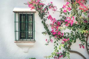 Gallery image of Villa 296 by Villamya in Montellano