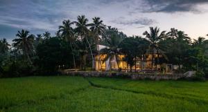 a house in the middle of a field with palm trees at ONA Garden Villa in Galle