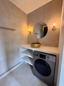a bathroom with a washing machine and a sink at Ambre du lagon in Saint-Pierre