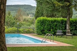 a swimming pool in a yard next to a tree at Villa Monica in Le Bolle +42 photos