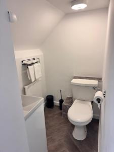 a bathroom with a white toilet and a sink at The Wrey Arms in Barnstaple +14 photos