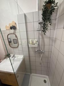 a bathroom with a shower and a sink at Charmant studio cosy - hypercentre Capitole in Toulouse