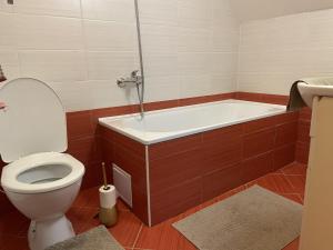 a bathroom with a toilet and a bath tub at Apartmán Monarchia in Banská Štiavnica