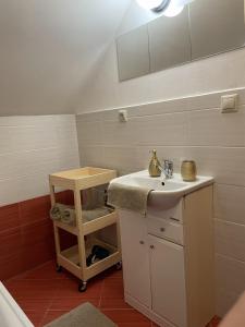 a bathroom with a sink and a shelf next to a tub at Apartmán Monarchia in Banská Štiavnica