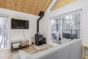 a living room with a fireplace and a tv at NatureX Spa River Dogfriendly in Sainte Béatrix