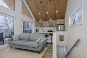 a living room with a couch and a kitchen at NatureX Spa River Dogfriendly in Sainte Béatrix
