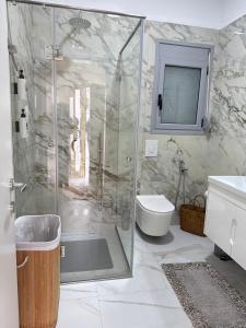 a bathroom with a shower and a toilet and a sink at Mediterranean Villa Old Town in Vlorë +106 photos