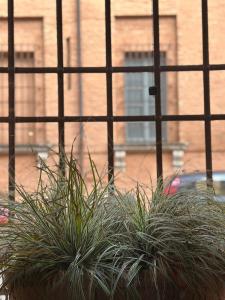 Jardí fora de Casa Uberti