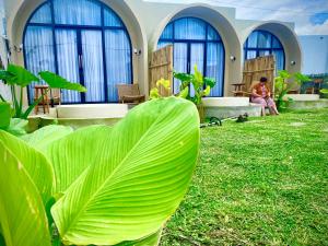 a large green leafy plant in front of a building at Pinggan heaven in Gretek