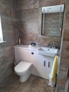 a bathroom with a toilet and a sink at Room with a View in Glastonbury +12 photos