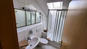 a bathroom with a sink and a toilet and a mirror at Ferienwohnungen Hörterer | Chiemgau Karte in Grassau +20 photos
