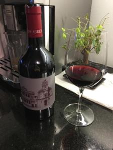 - une bouteille de vin rouge à côté d'un verre de vin dans l'établissement Apartments in Bern - Green Relax, à Berne