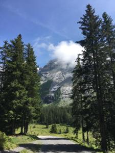 a view of a mountain with trees in the foreground at Apartments in Bern - Breitenrainplatz in Bern