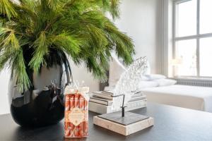 a table with books and a vase with a plant at Starlight Loft Lucerne, World Above Chapel Bridge in Lucerne