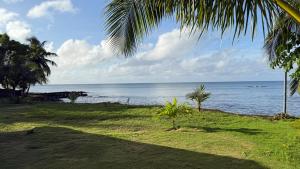 a view of the ocean from a beach with palm trees at Emerald Luxe Suites in Big Corn Island