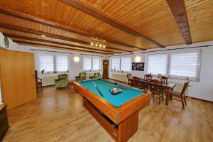 a large room with a pool table in it at Pension Haus Sonneck in Wildemann