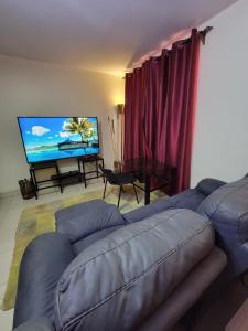 Un televizor și/sau centru de divertisment la Cjs apartment