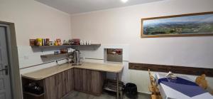 a kitchen with a counter and a sink in a room at Willa na Bartkowym Wierchu in Gliczarów Górny +7 photos