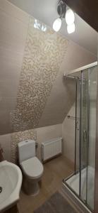 a bathroom with a toilet and a shower and a sink at Willa na Bartkowym Wierchu in Gliczarów Górny
