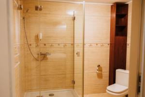 a bathroom with a glass shower with a toilet at Dwór Lisewo in Lisewo +32 photos