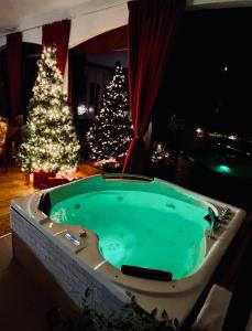 a hot tub in a living room with a christmas tree at BellaVista in Popoli