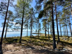 a group of trees on a hill near the water at Lakeside Cottages in Rastinniemi