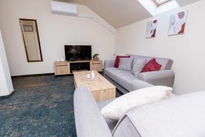 a living room with two couches and a tv at Amfora Novi Sad in Pasuljište