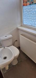 a bathroom with a white toilet and a sink at turistická ubytovňa LIENKA in Holíč +33 photos