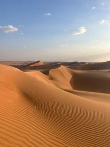 a view of the desert with sand dunes at Quiet Nights Camp in Badīyah +35 photos