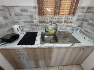 a kitchen with a sink and a counter top at Mihalis Studios in Karpathos