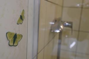 two butterflies on the wall of a shower at Willa Wisełka in Wisła