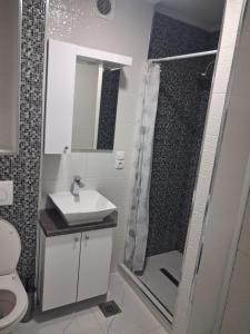 a bathroom with a shower and a sink and a toilet at Jagoda stan na dan in Prijedor