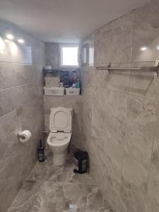 a bathroom with a toilet and a tiled wall at Το σπιτι στη Ρουγα in Glossa +6 photos
